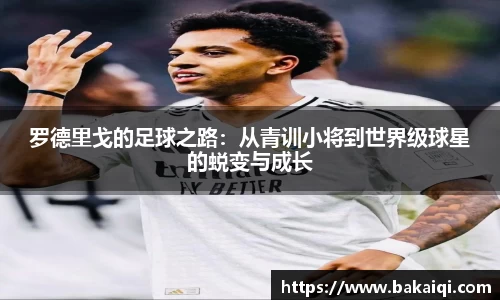 完美体育365平台官网