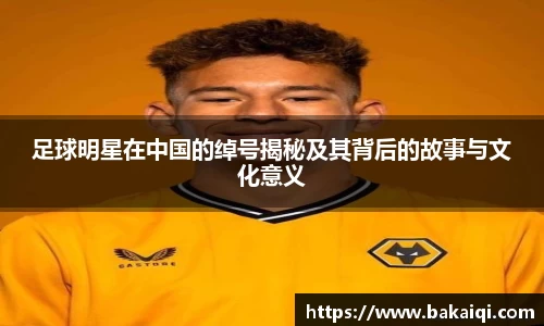 完美体育365平台官网