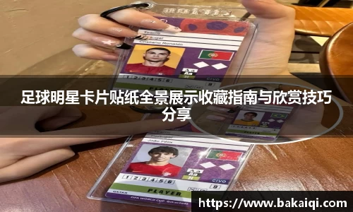 完美体育365平台官网